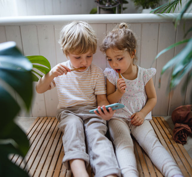 Lorem ipsum dolor sit amet net